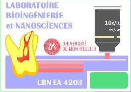 Laboratoire LBN